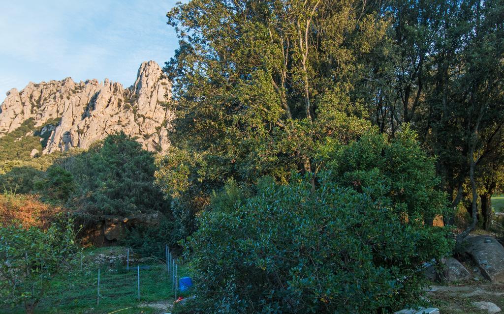 Casa Vacanze San Pantaleo Villa ภายนอก รูปภาพ